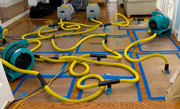 Professional Crawl Space Water Removal technician working in Goldsmith, TX